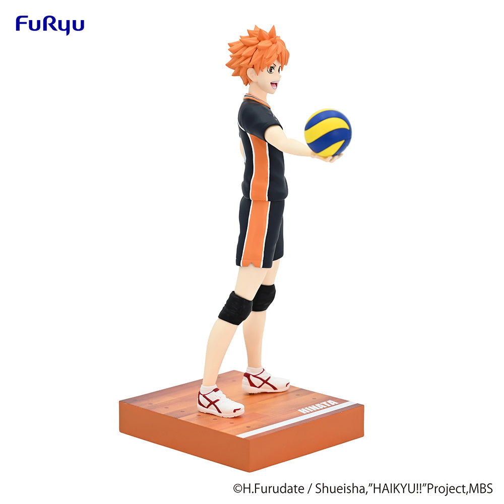 Haikyu Shoyo Hinata Figure