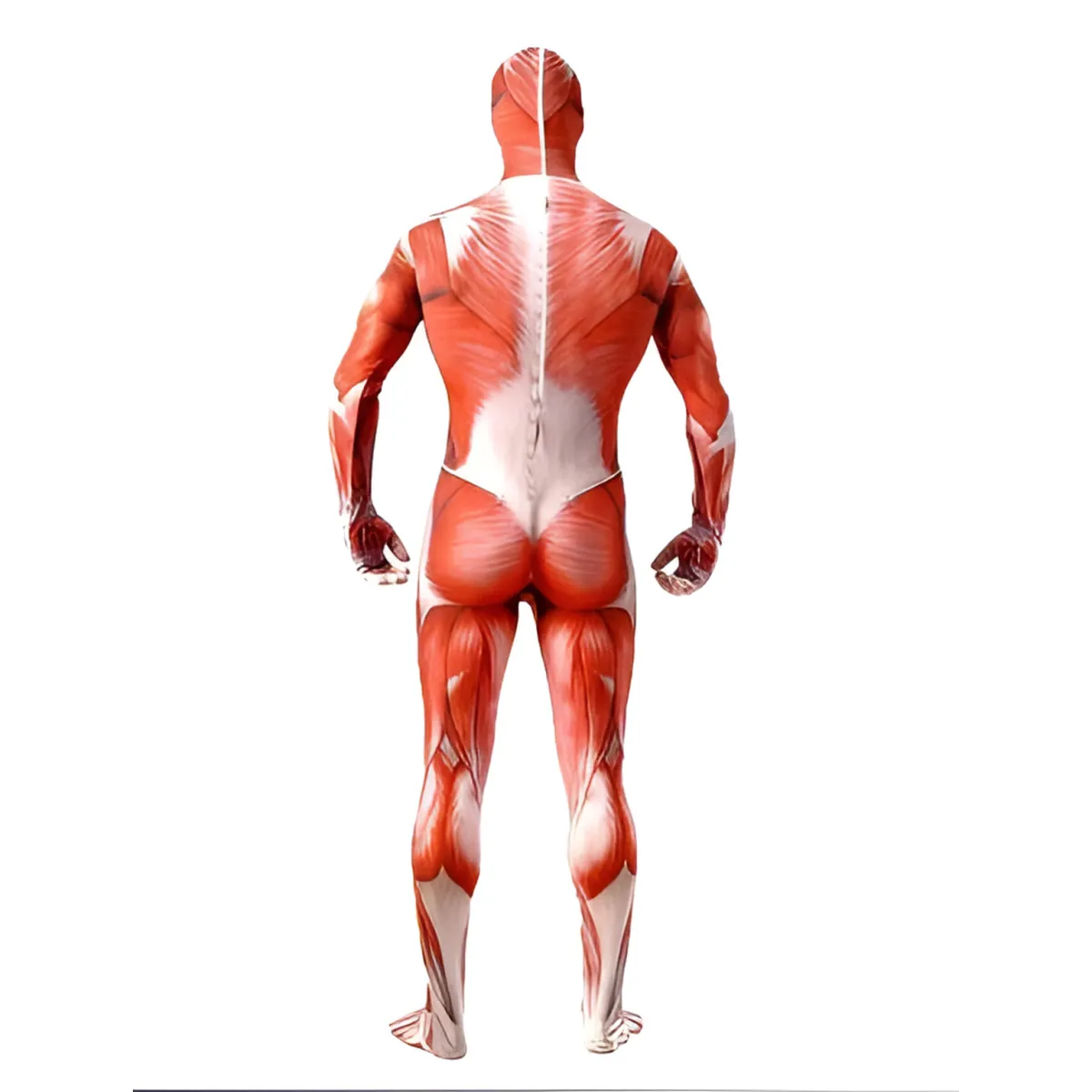 Muscle Man Costumes