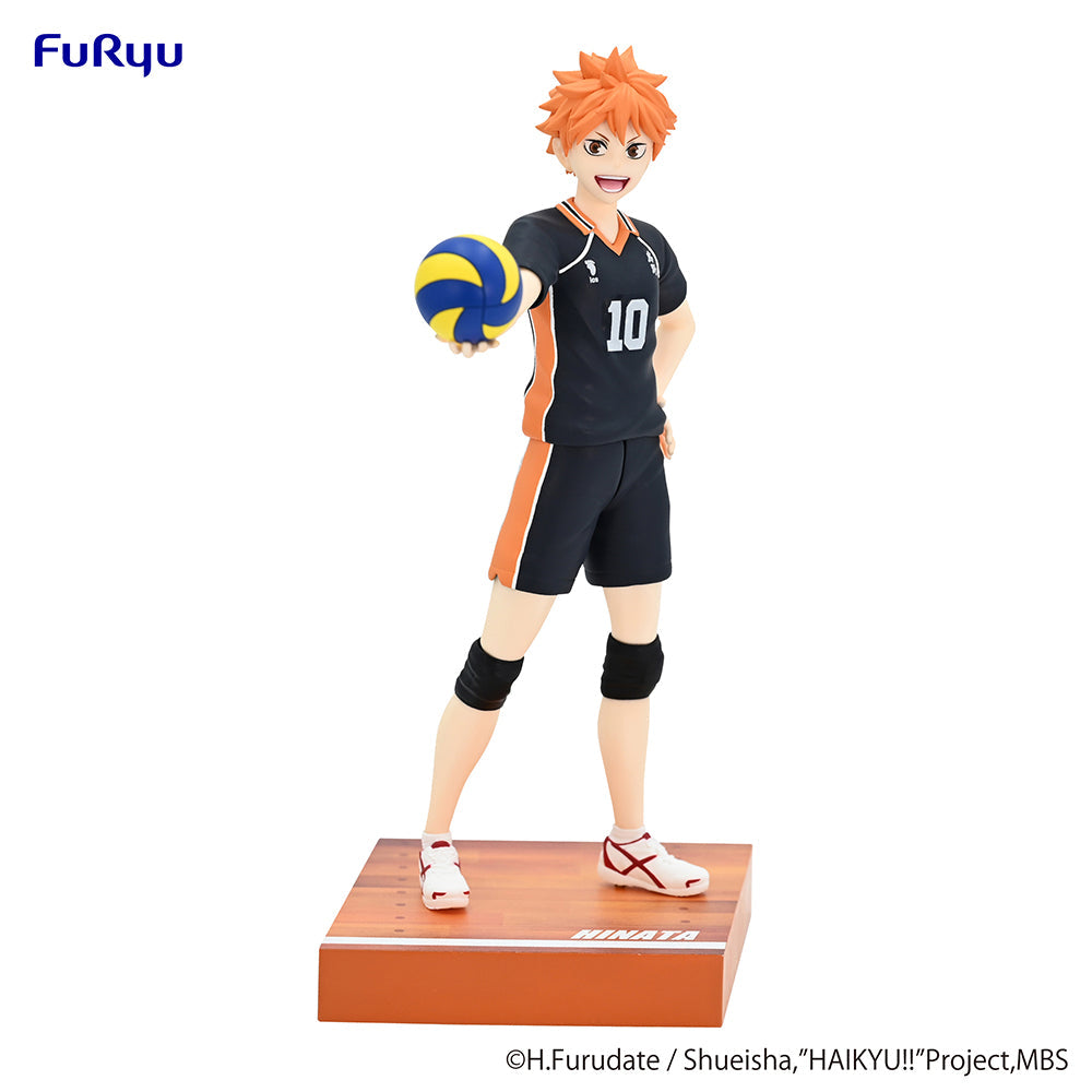 Haikyu Shoyo Hinata Figure