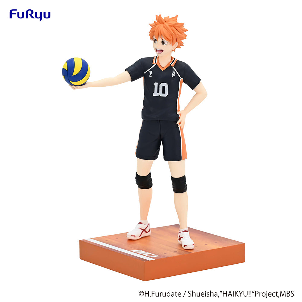 Haikyu Shoyo Hinata Figure